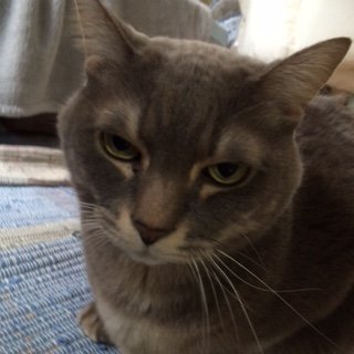 20150130ぎどら3