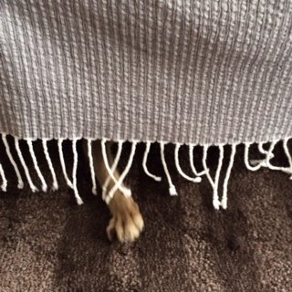 1るでぃ1がつ