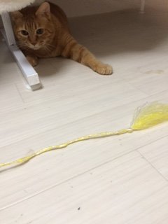 20150517かんた2