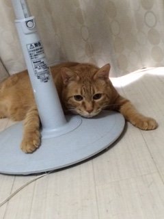 20160518かんたくんたち2