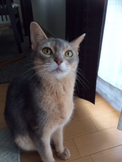 20150621るる3