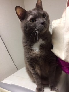 20160614きんぐぎどら1