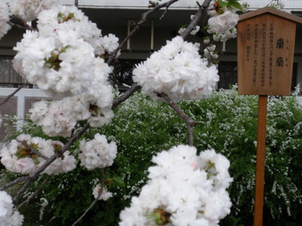 造幣局 016