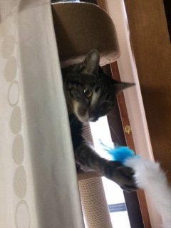 20171212かんたるー2