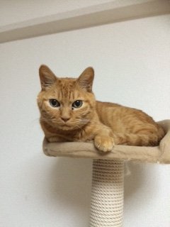 20150517かんた3