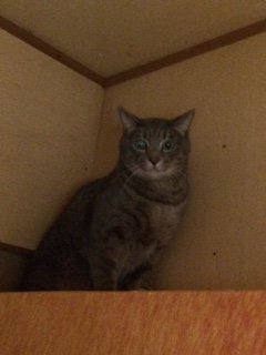 20160106るな1