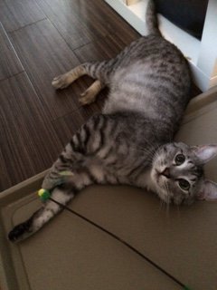 20150724ぴくしいちゃん達1