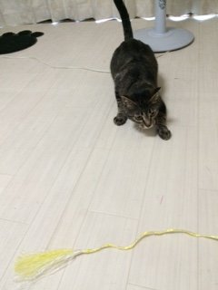20160518かんたくんたち4