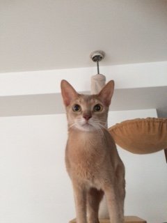 20150524しようが1