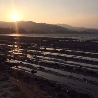宮崎2
