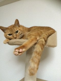 20150517かんた4