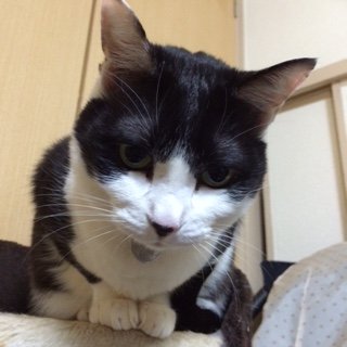 2015124もも1
