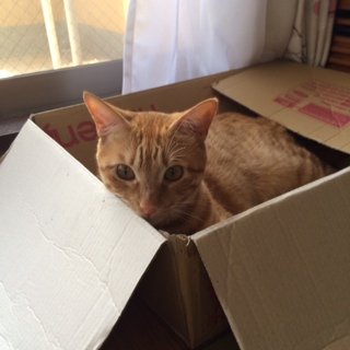 2014802天1
