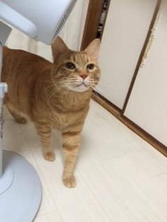 20150517かんた1