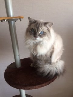 20171127くーちゃん1