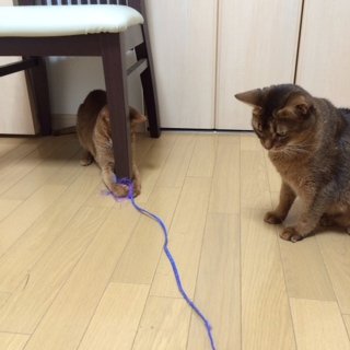 201455ななちゃちゃ