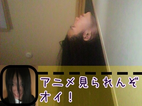 アニメ 見てない