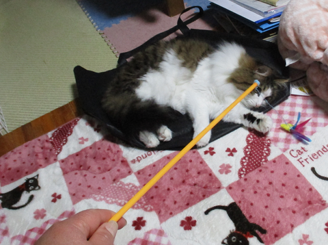 カシャカシャぶんぶん2