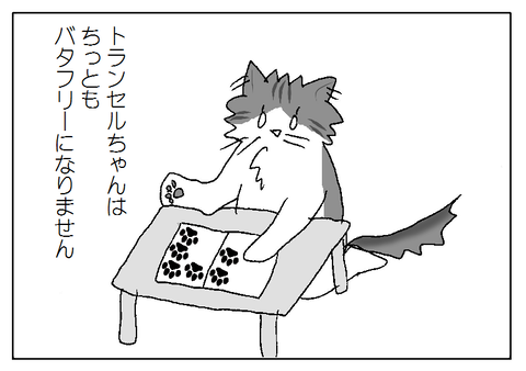 猫ブログ