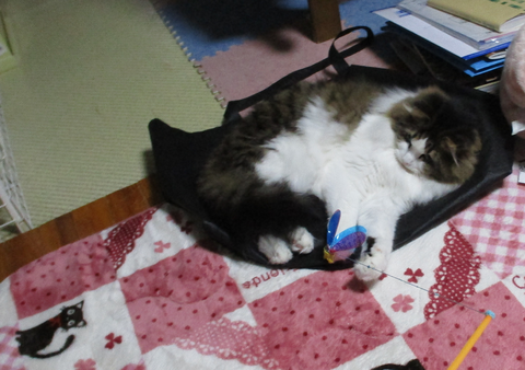カシャカシャぶんぶん
