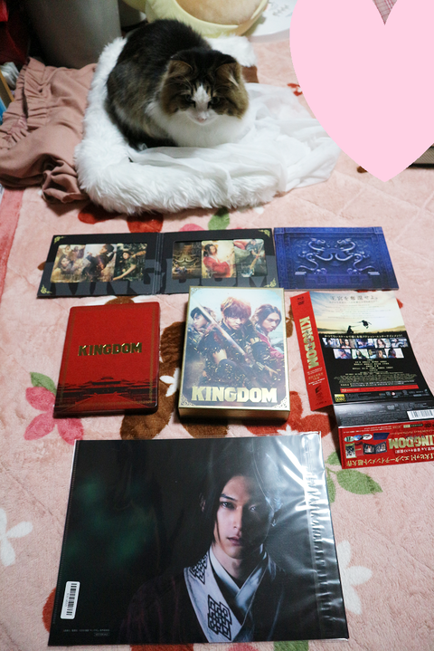 キングダムDVD&ブルーレイセット1