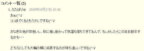 えたばりゅさんコメント