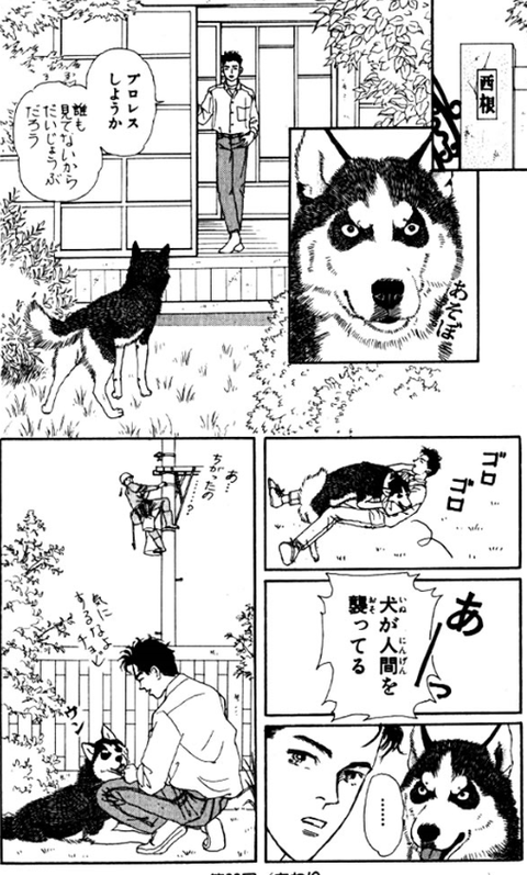 動物のお医者さん プロレス