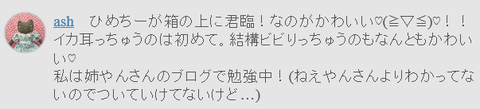 ashさんコメント