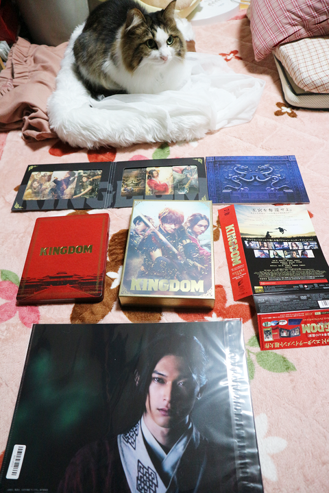 キングダムDVD&ブルーレイセット2