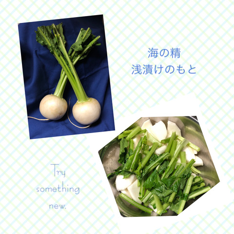 2063832D-6828-454C-8C61-BB90D84D26FF