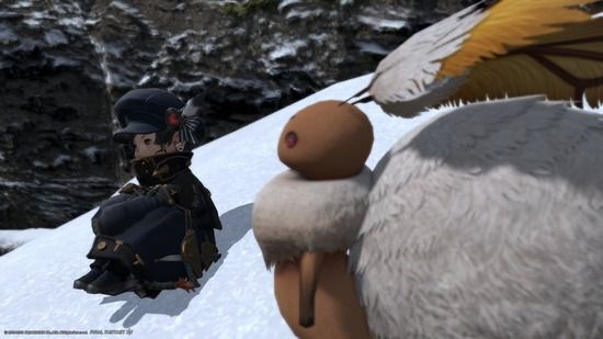 【FF14】「そろそろエウレカ：パゴス編の輝きを緩和してくれないとキツイんだけど・・・」