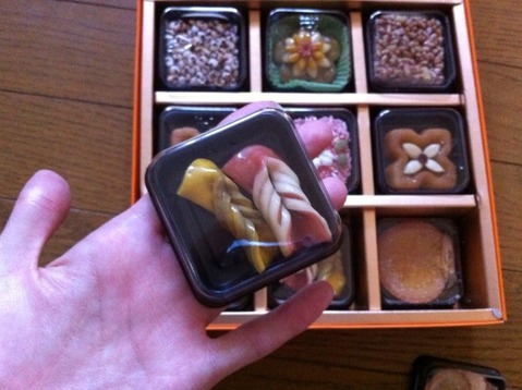 2012-09-15 07:29:11 写真3