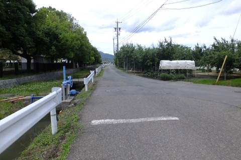 DSCF2982