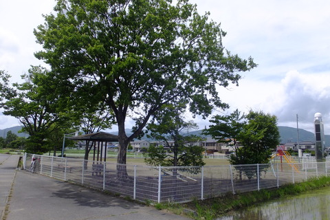 DSCF2973