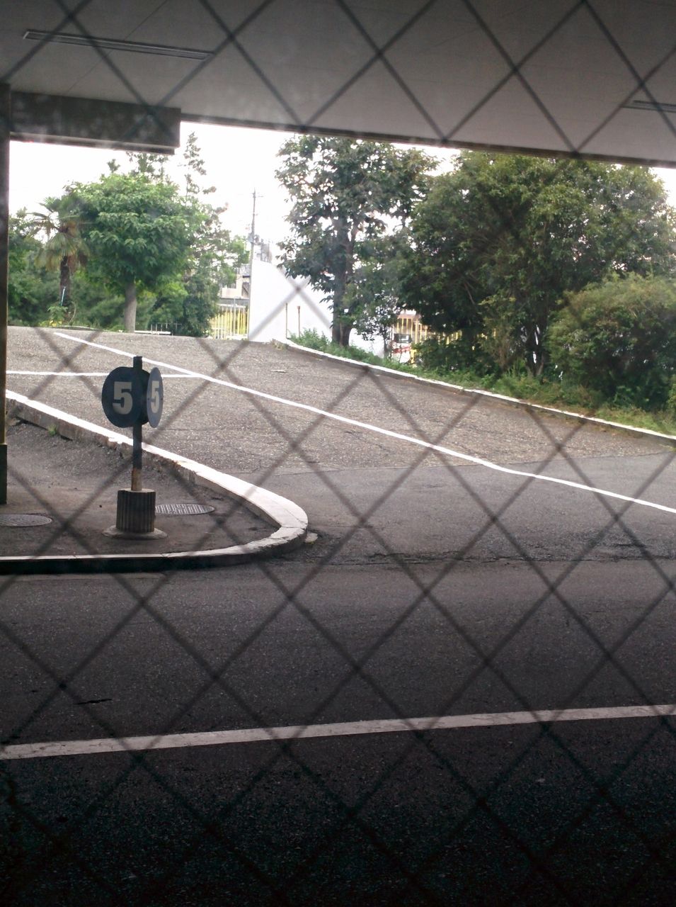 路上 教習 人 轢い た