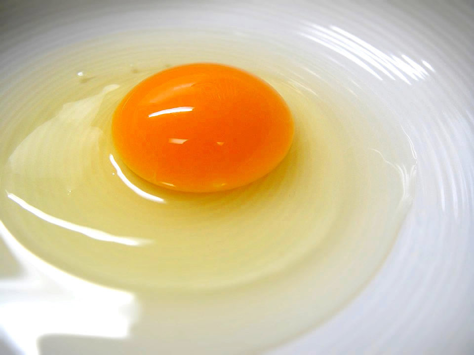 警官に生卵を投げつける 東京都稲城市の私立大学生ら８人を逮捕 おちょくるために投げた まいう速報