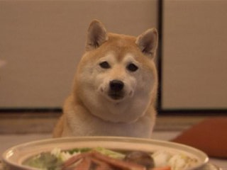 元ネタ 犬の十戒 めぞらぼ 元ネタ 犬の十戒 めぞらぼ