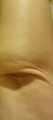 DSC03318