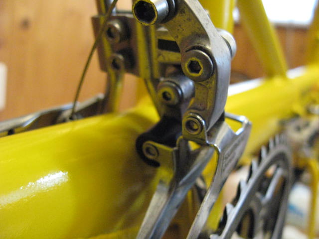 犬と自転車と私