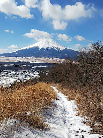 ③振り向けば、富士山