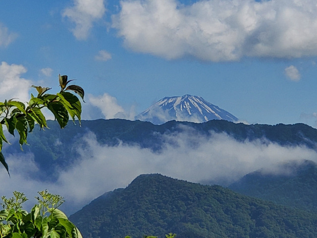 残雪の富士山が見えました。お客様からは「富士山だ」と歓声が沸きました