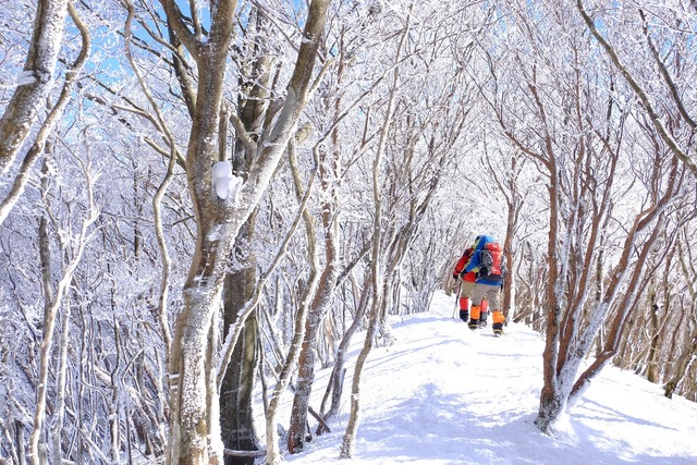 No.16「雪中登山」