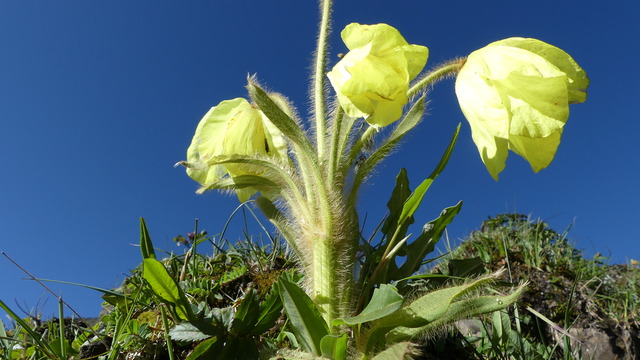 P1100223