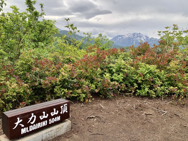 6.大力山山頂