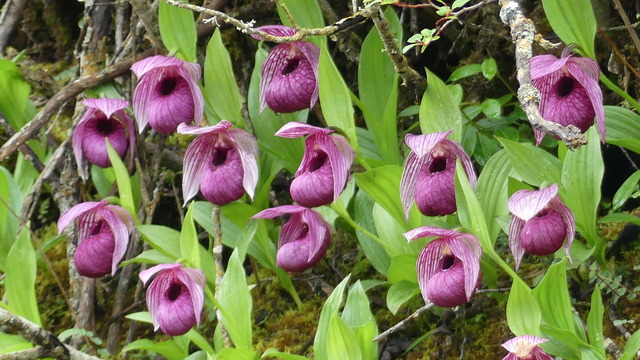 P1090540