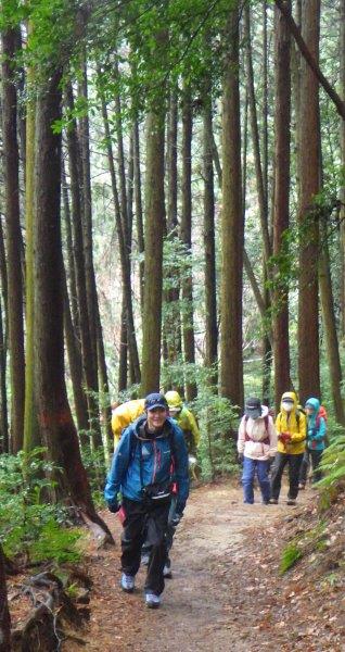 山頂目指して歩む