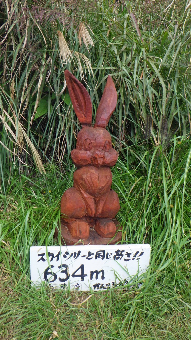 地元の彫刻家のチェーンソーアートが登山道