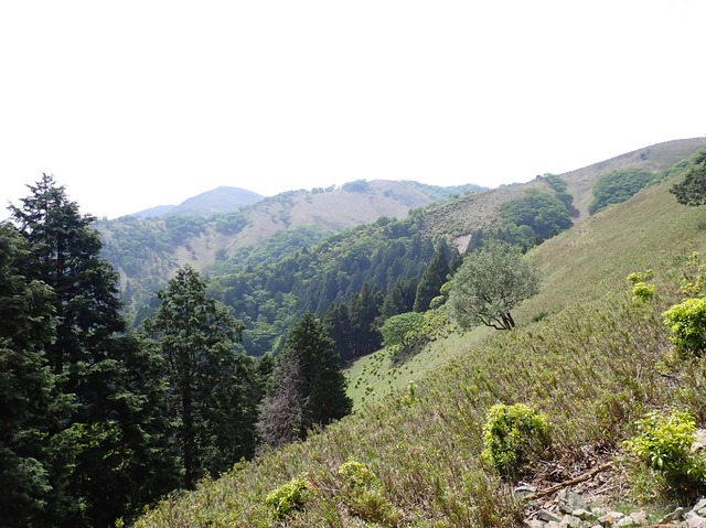 ４，左奥が竜ヶ岳山頂