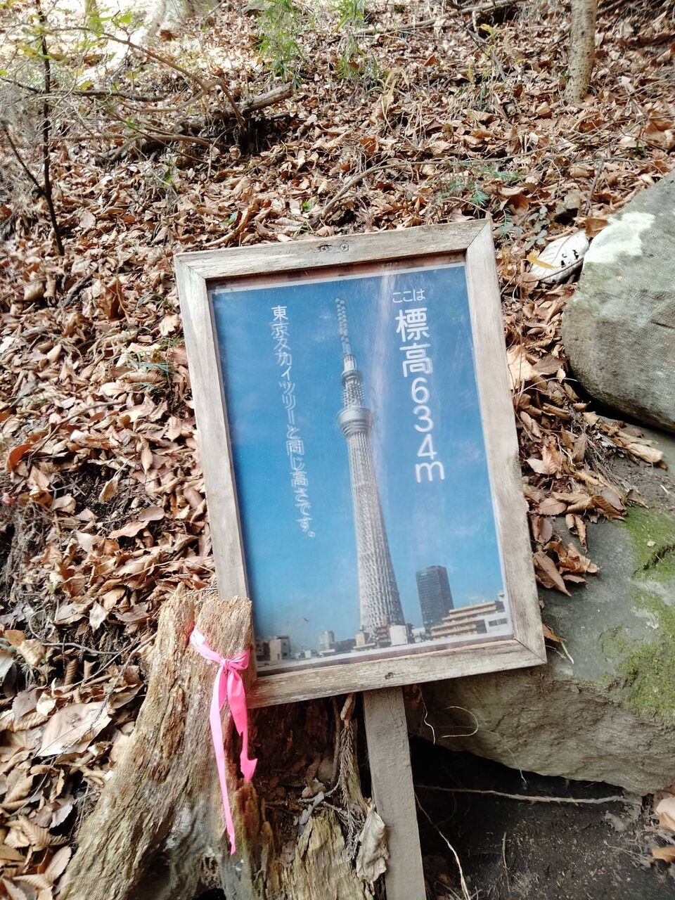 嵩山（たけやま）岩場歩きと鎖場、奇岩、怪石を楽しむ : まいたび