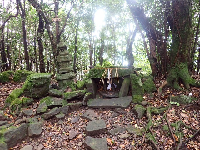 写真１５　安満岳山頂　奥ノ院様